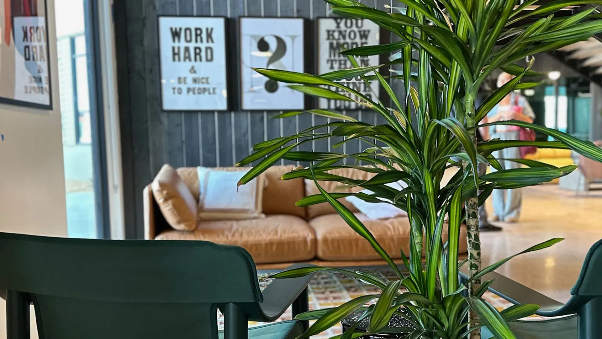 Walking into Kiln St. George, you’re met with a space that feels both modern and inviting. A tall, leafy Dracaena plant sits in the foreground, its deep green leaves stretching toward the light, adding a fresh contrast to the clean lines of the furniture. Just behind it, a warm tan leather couch is nestled against a dark, wood-paneled wall, softened by a few casually placed throw pillows.