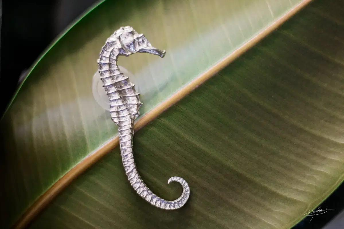 a metal art seahorse in front of a large leaf