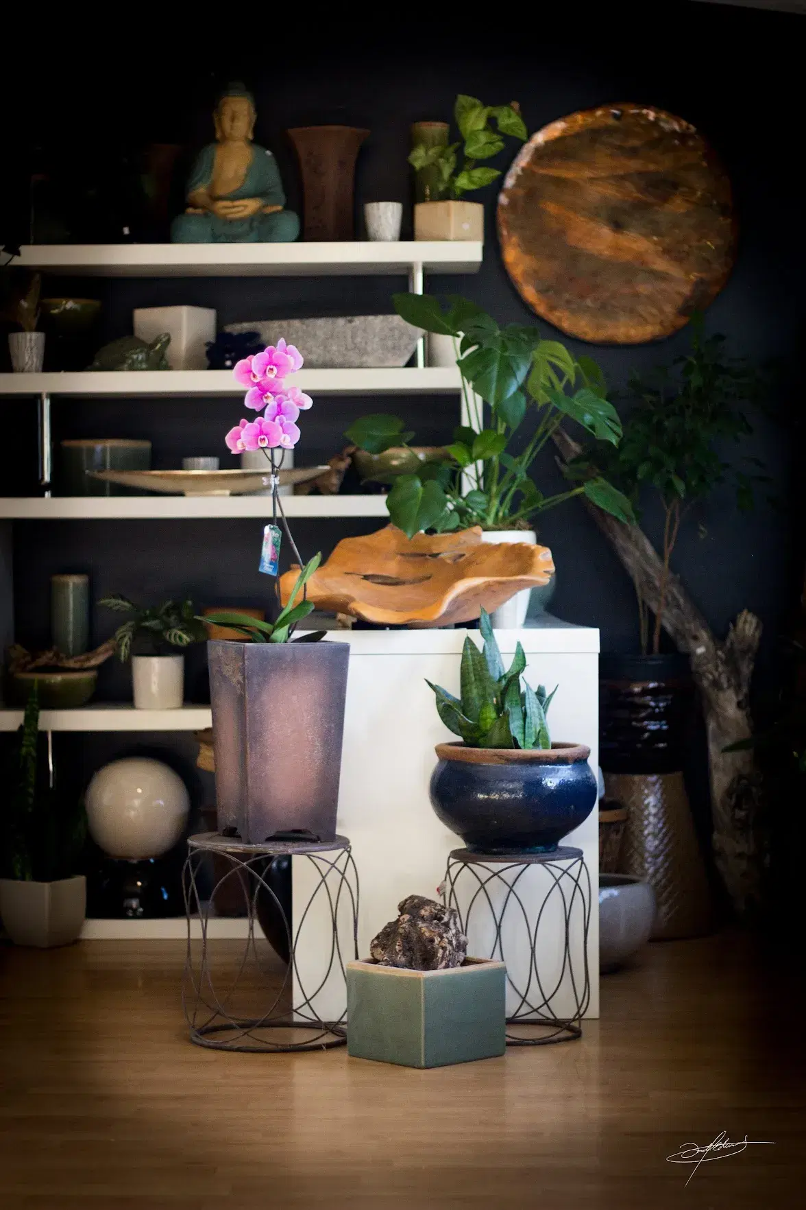 interior display featuring potted indoor plants