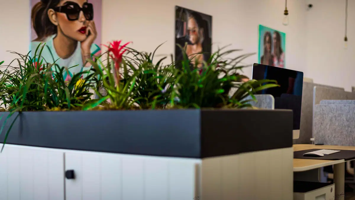 flowers growing from a custom planter in an office