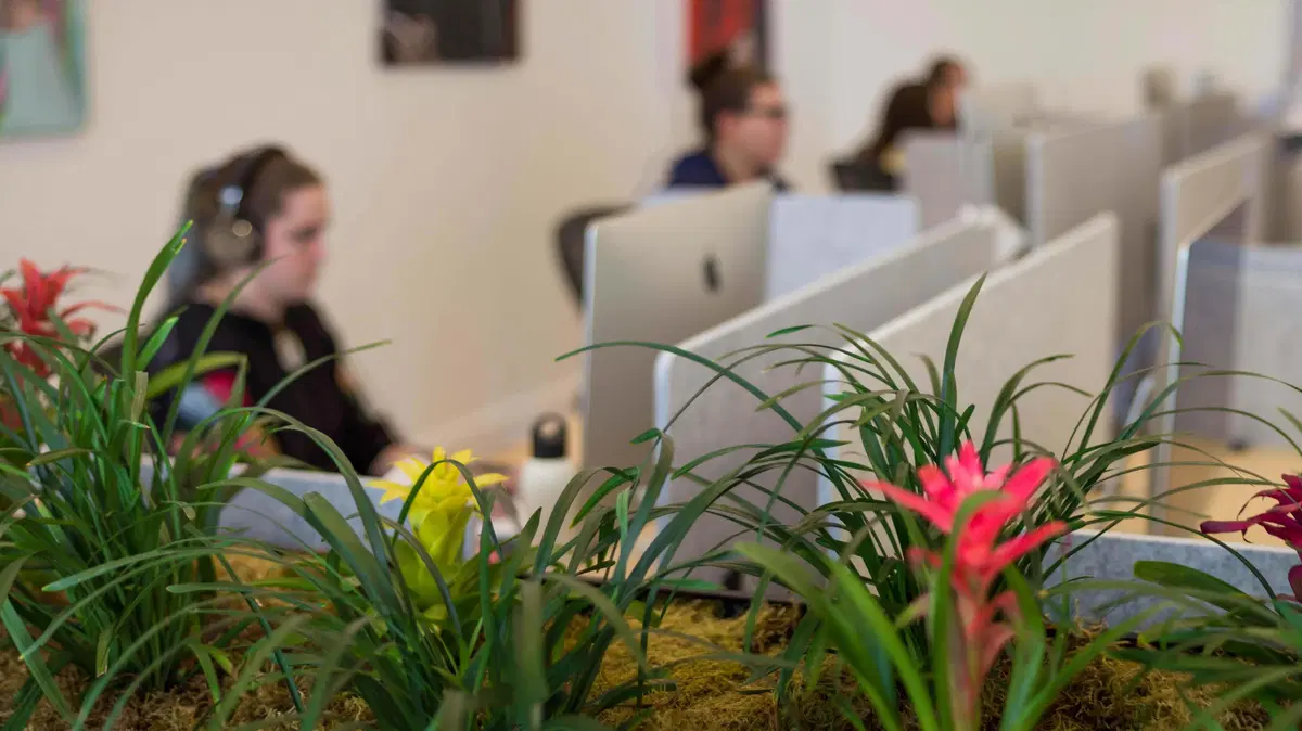 flowers growing in a planter with employees sitting at desks behind