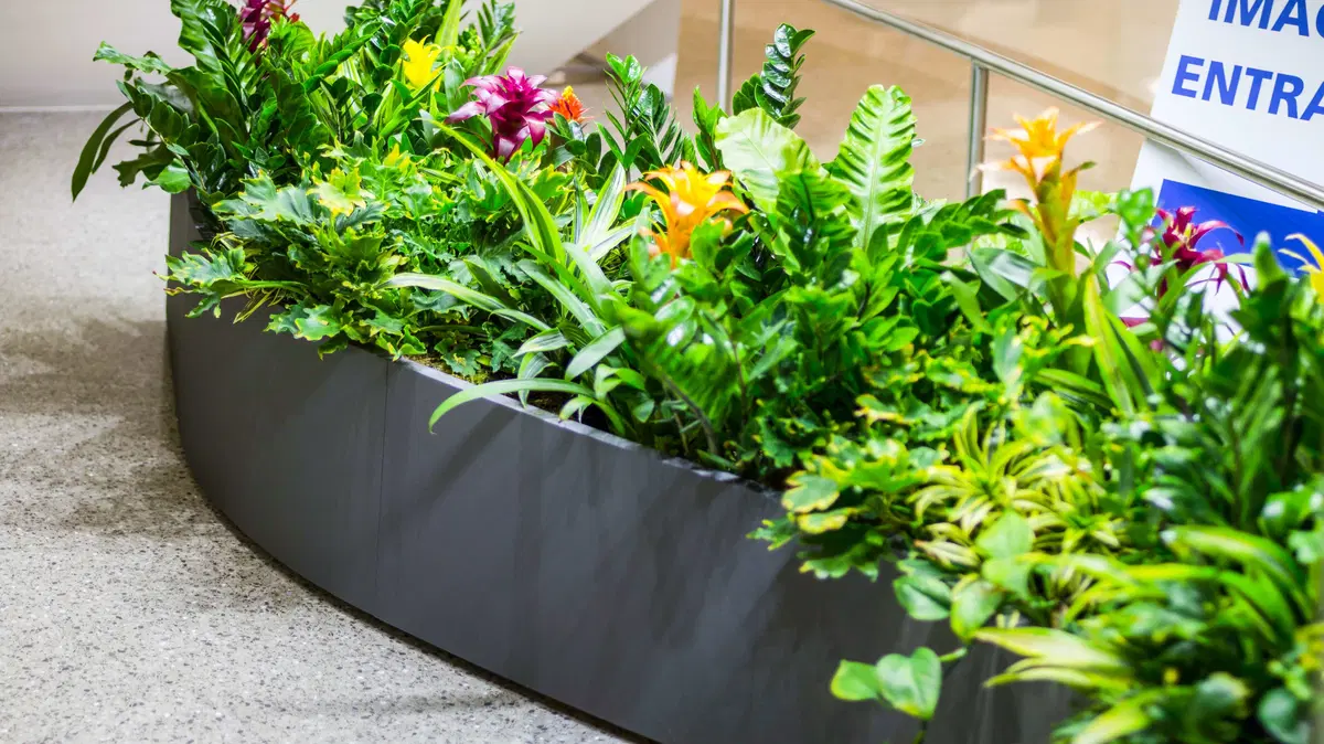 a curved, s-shaped planter brimming with life
