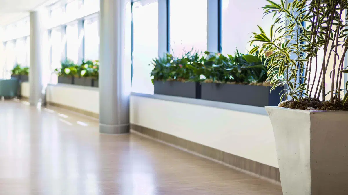 custom planters lining an open hallway with pillars and large windows