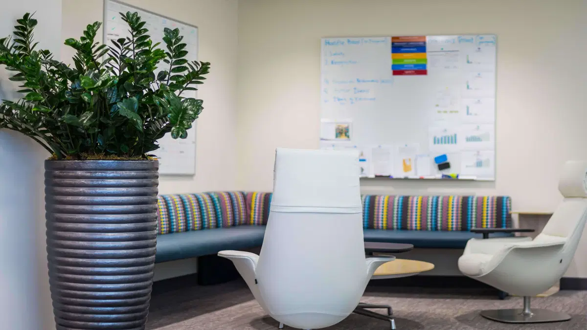 a white chair centered between a tall, ribbed pot with a plant and a colorful bench