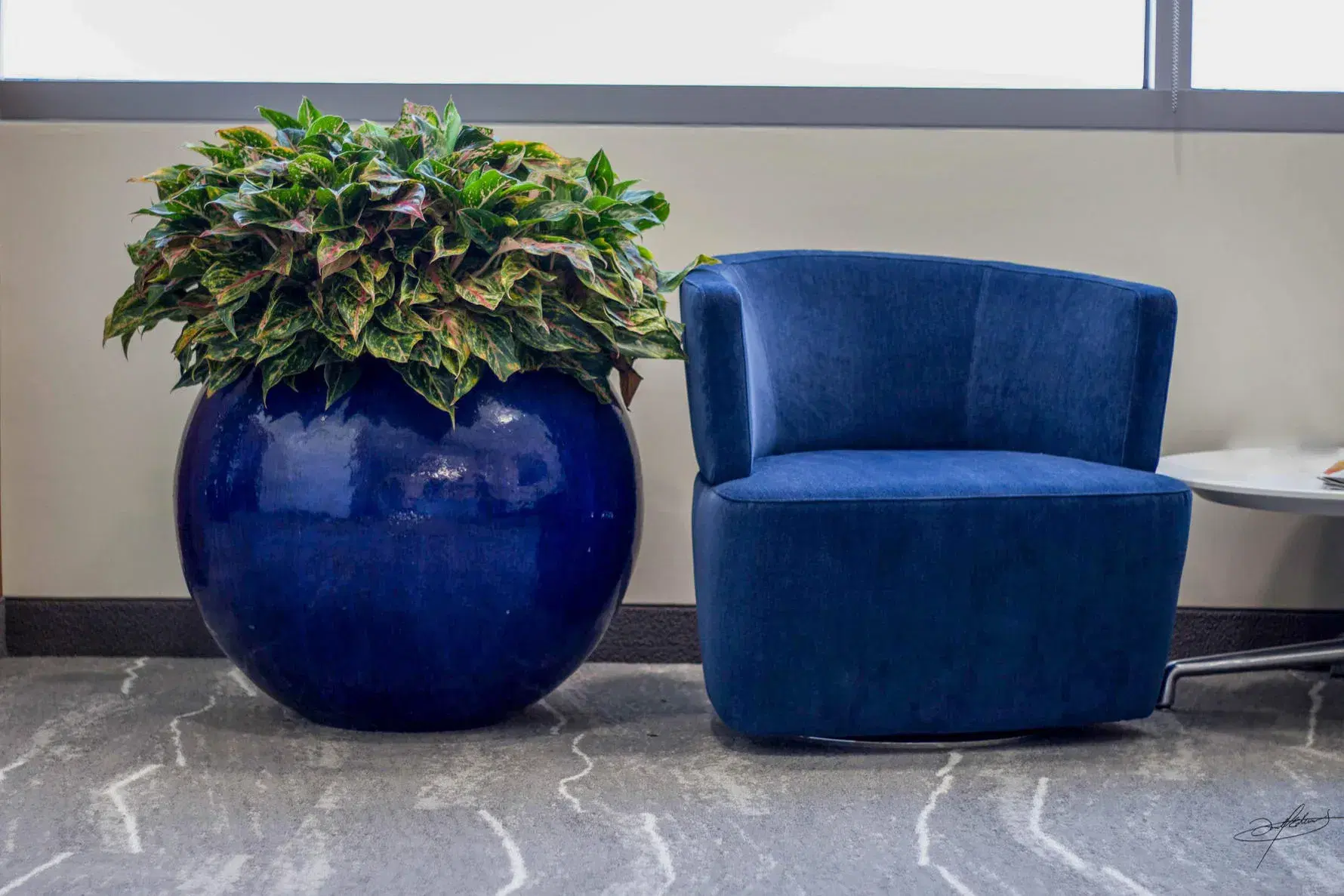 blue glazed ceramic planted pot next to matching blue chair