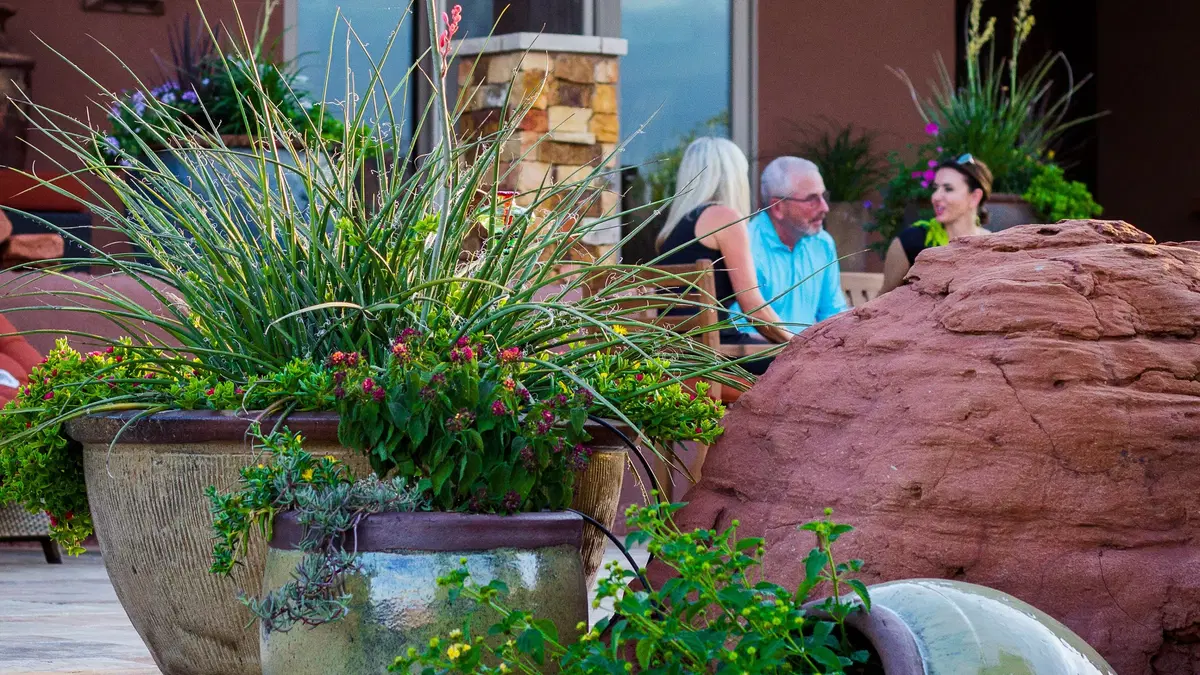 people talking and laughing behind a luscious outdoor plantscape