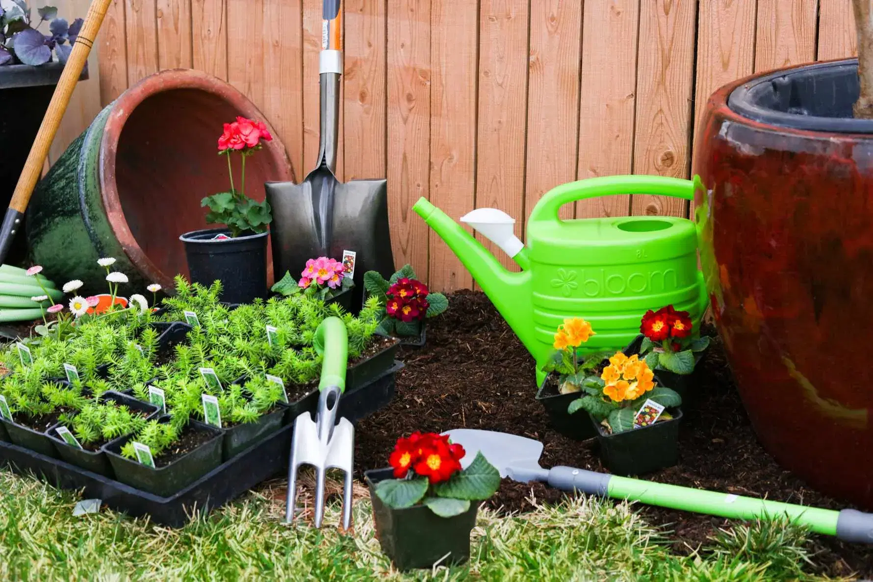 a curated collection of gardening supplies and equipment