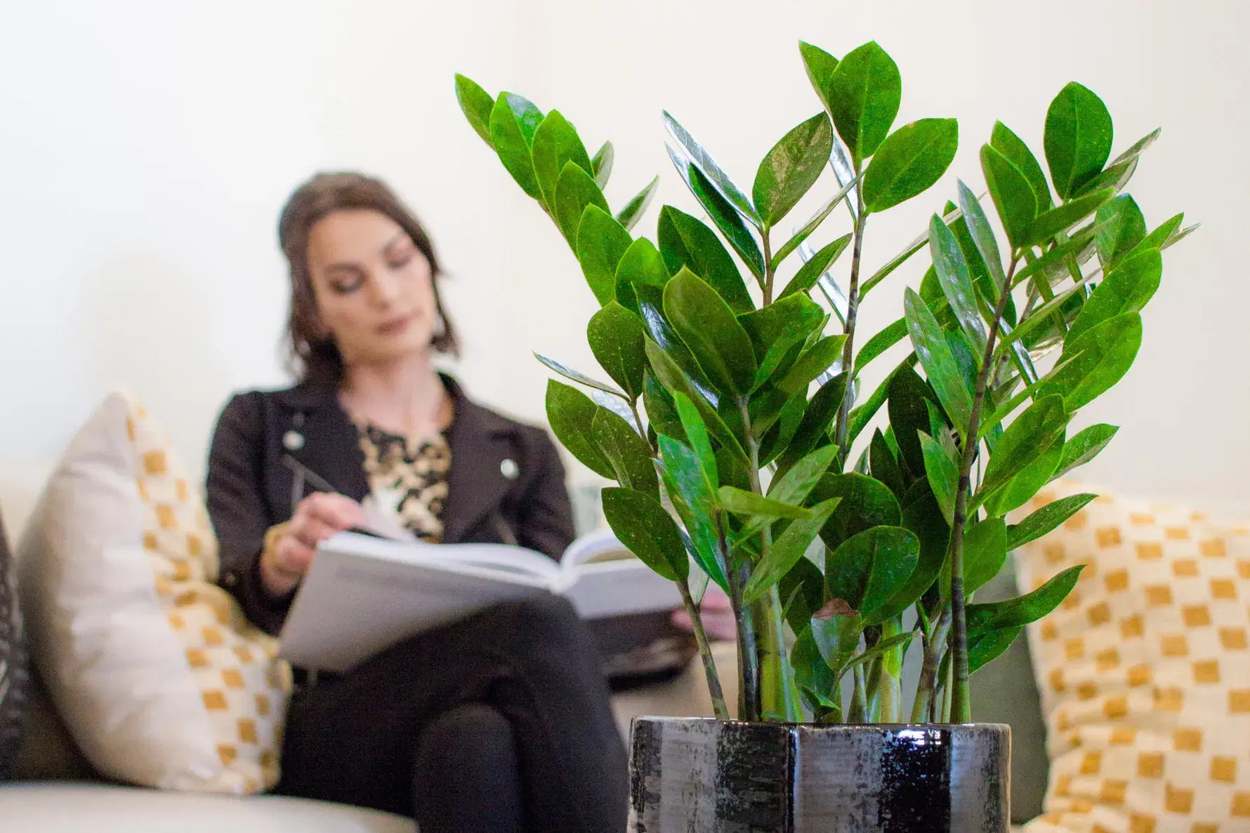 Closeup on planted succulent with woman reading in the background