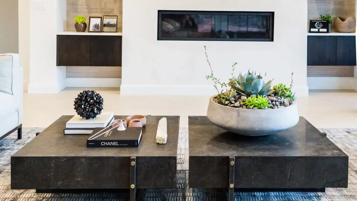 a counter space with a small pot, plantscaped with succulents