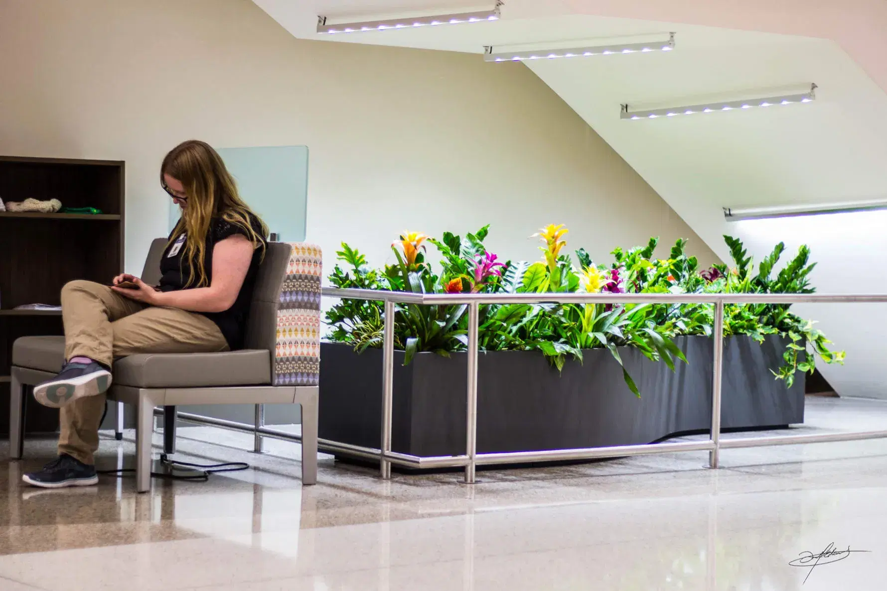 s-shaped planted container in a lobby behind guard rails and under grow lights