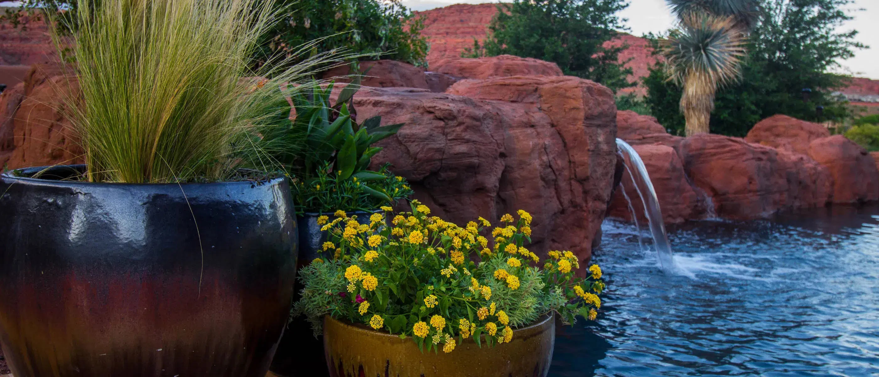 exterior plantscape arrangement next to a red rock decorated swimming pool and waterfall