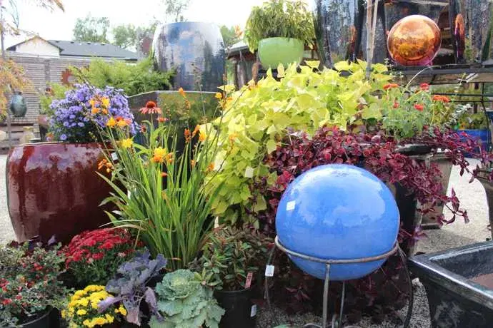 ceramic pottery display with plants and flowers