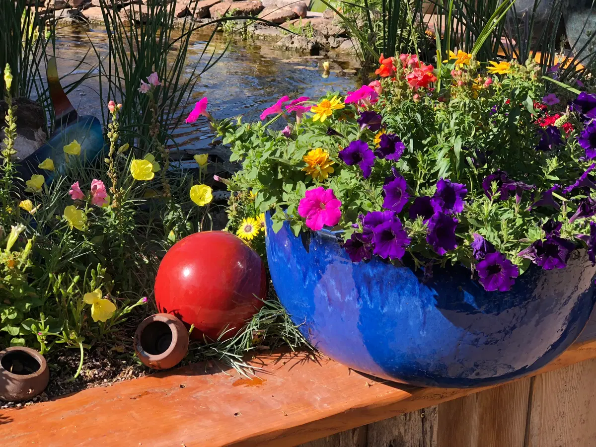 a luscious plantscape in pottery on the side of a pond