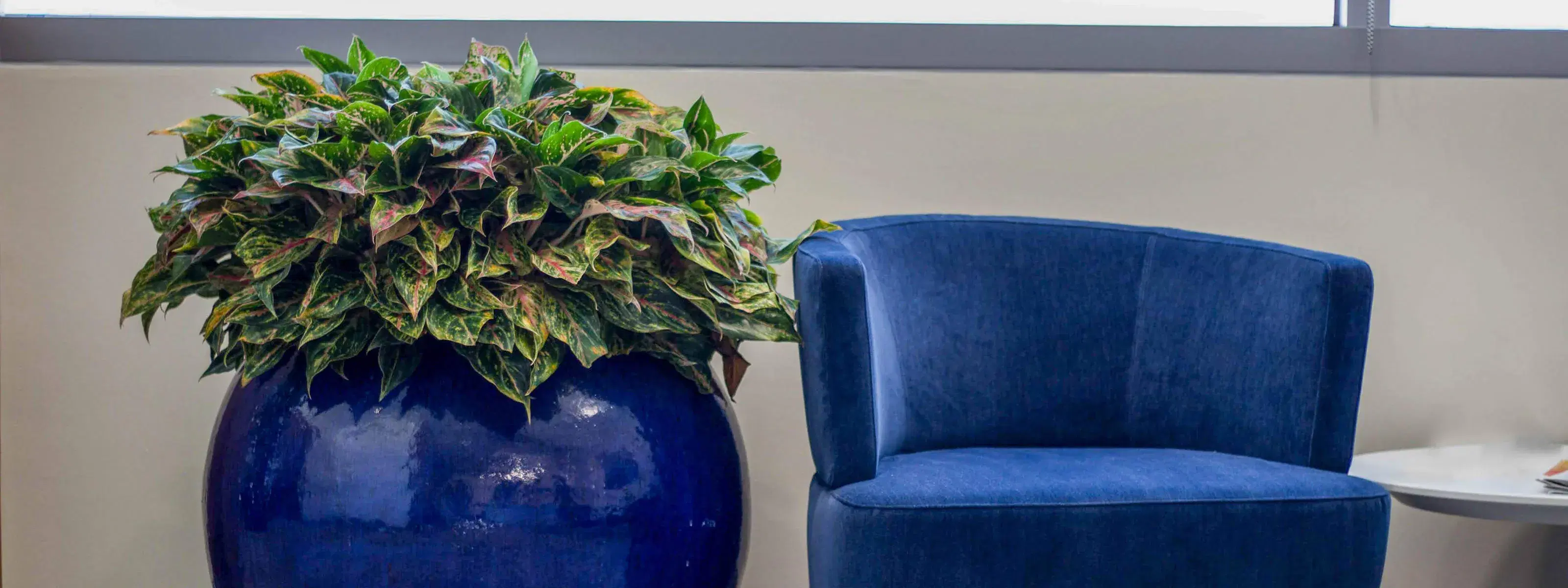spherical blue glazed planted pot next to a matching blue chair