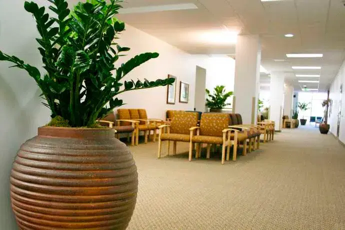 potted ceramic pottery arranged in an interior lobby