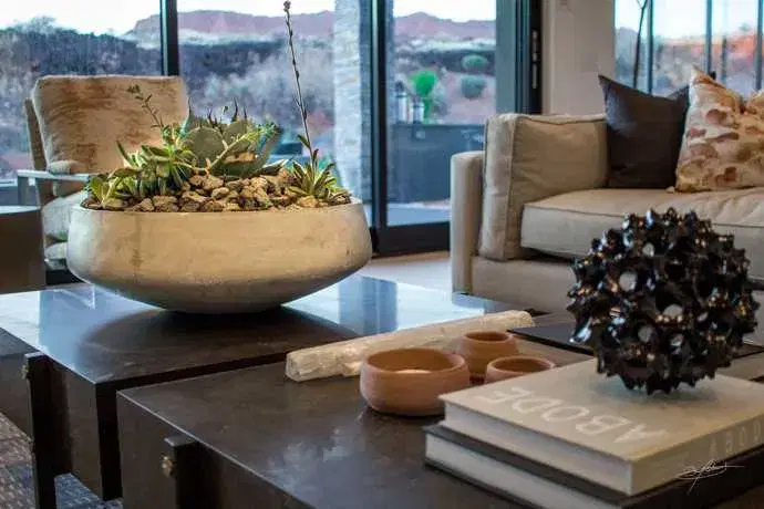 potted succulents on a coffee table inside a living room