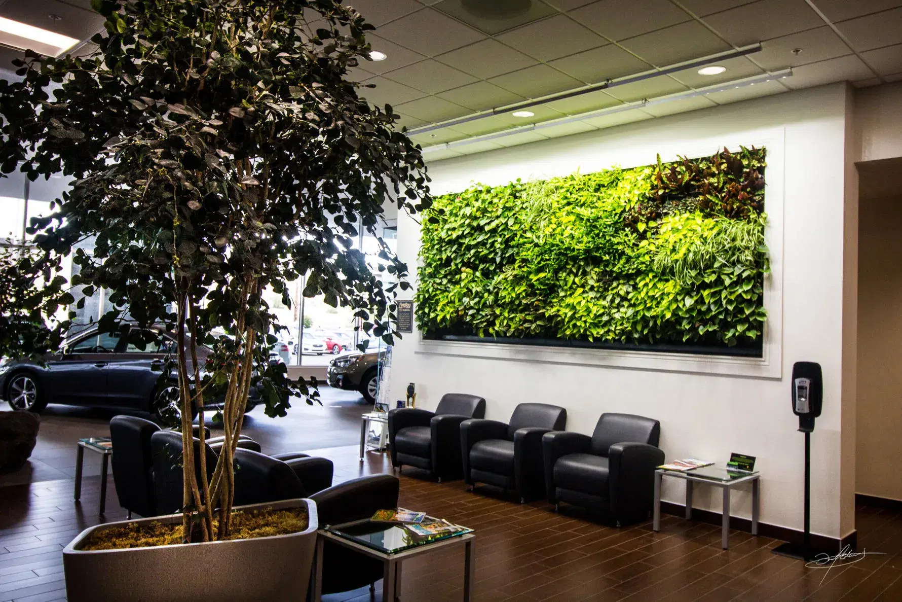 Living wall installation in a Subaru dealership lobby