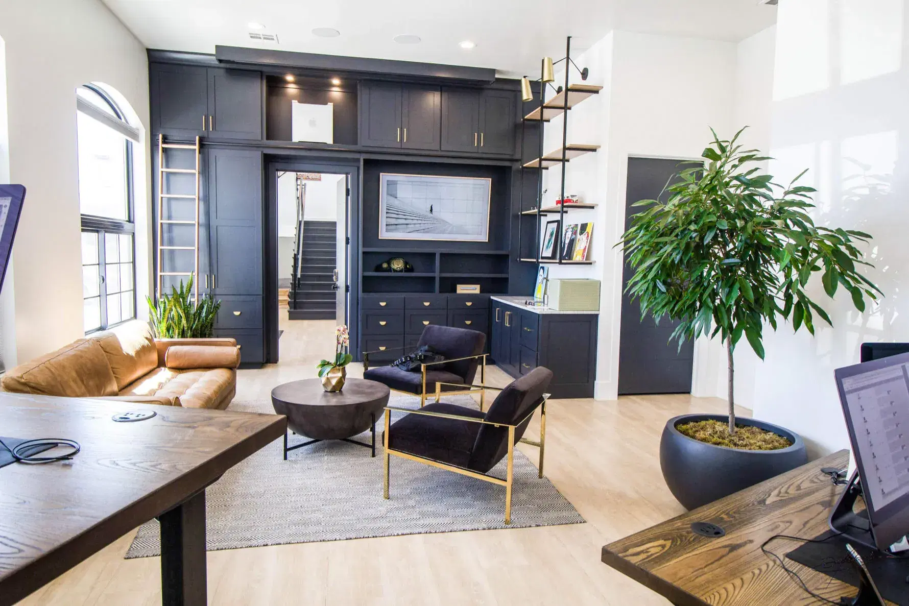 Plantscaped and interior designed interior