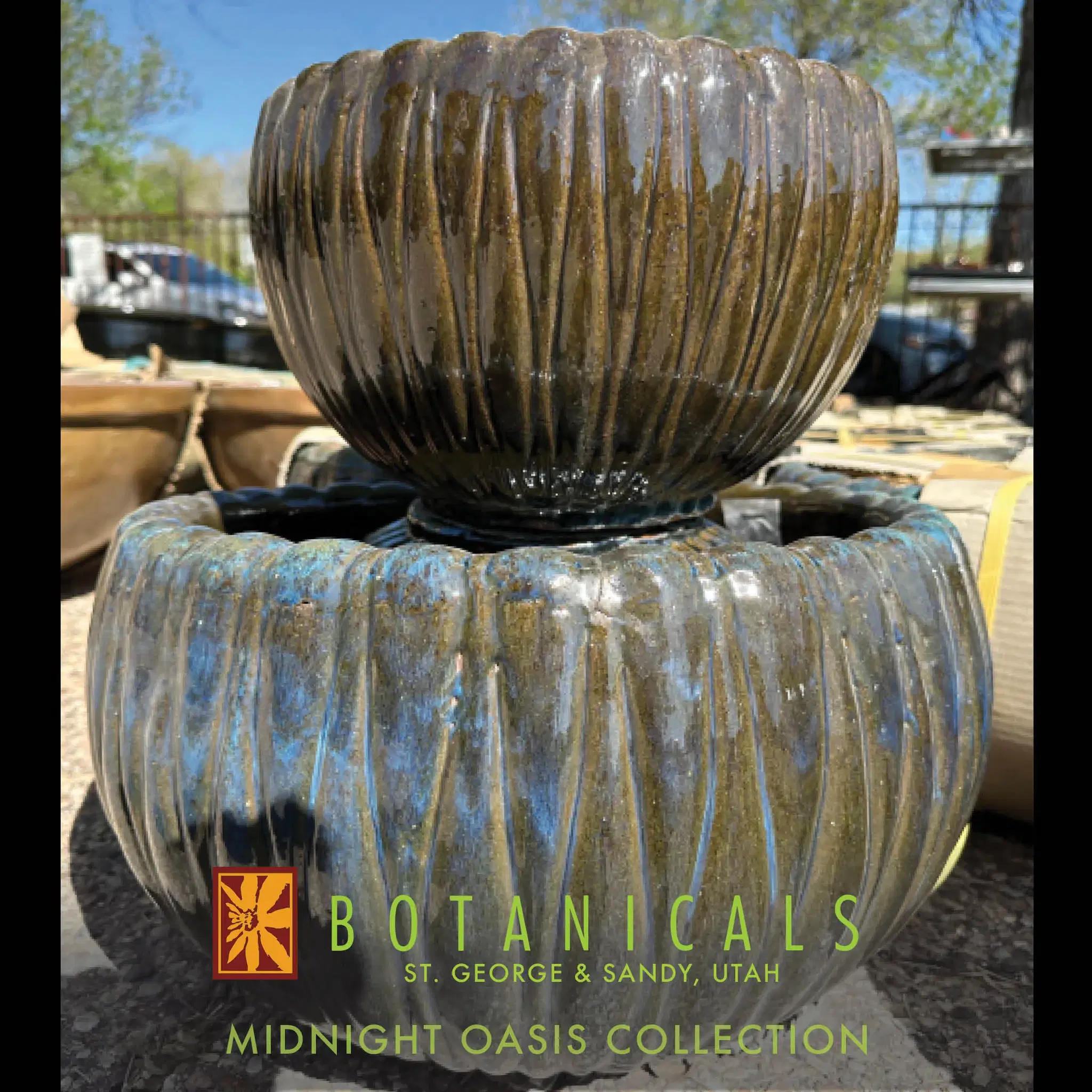 Midnight Oasis Collection