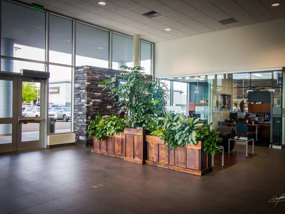 custom planters in front of large glass entry-way doors