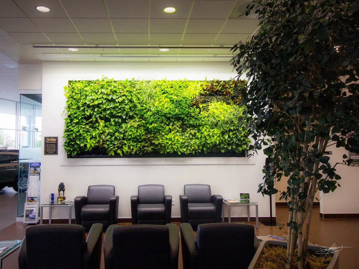 a living wall, full of lush plants behind several waiting area seats