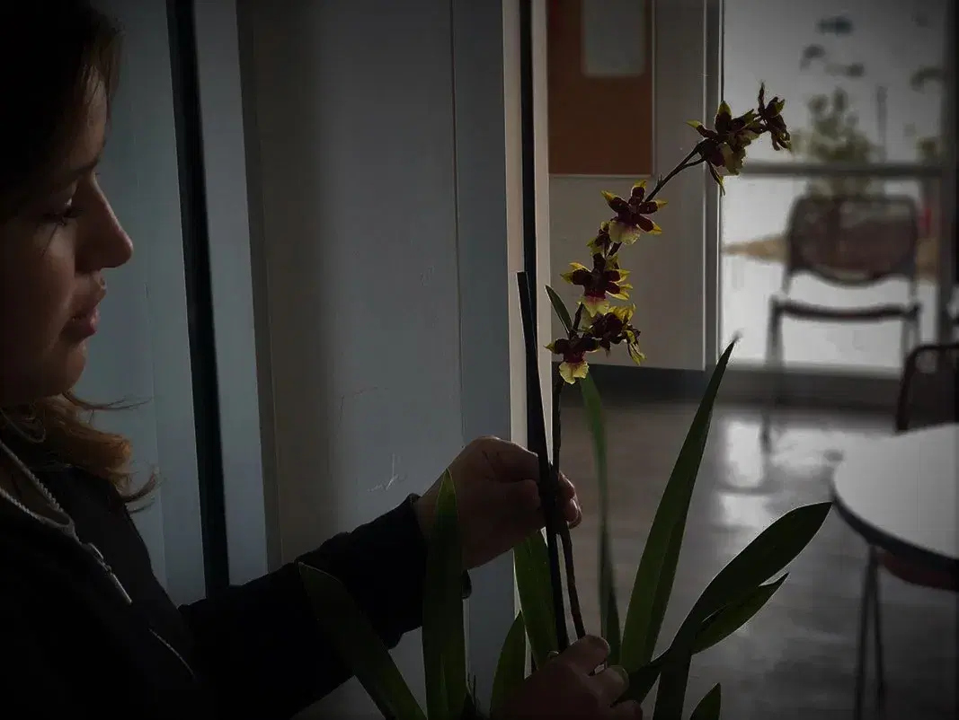 woman making sure a flower is well cared for