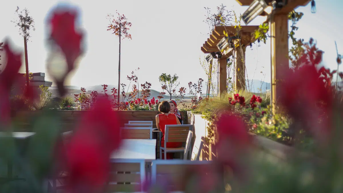 red flowers blurred in the foreground while people talk on a patio