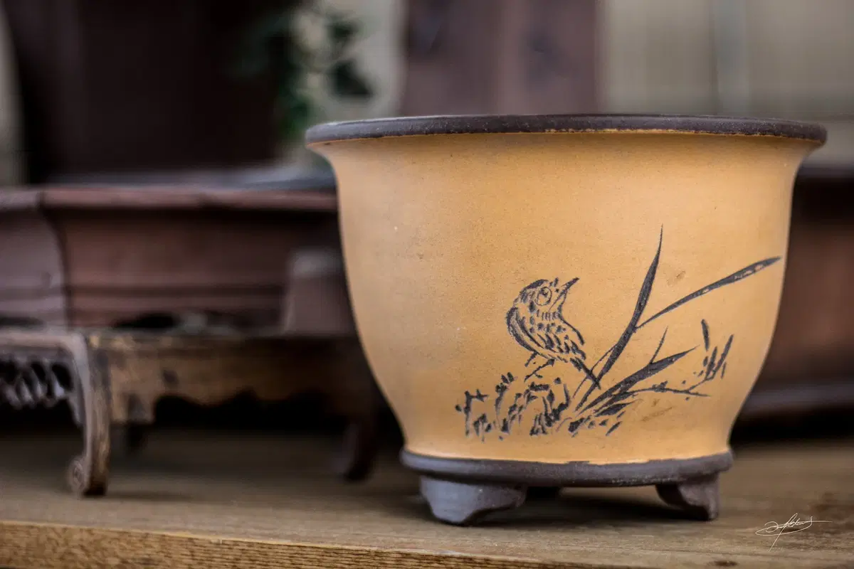bonsai pottery display
