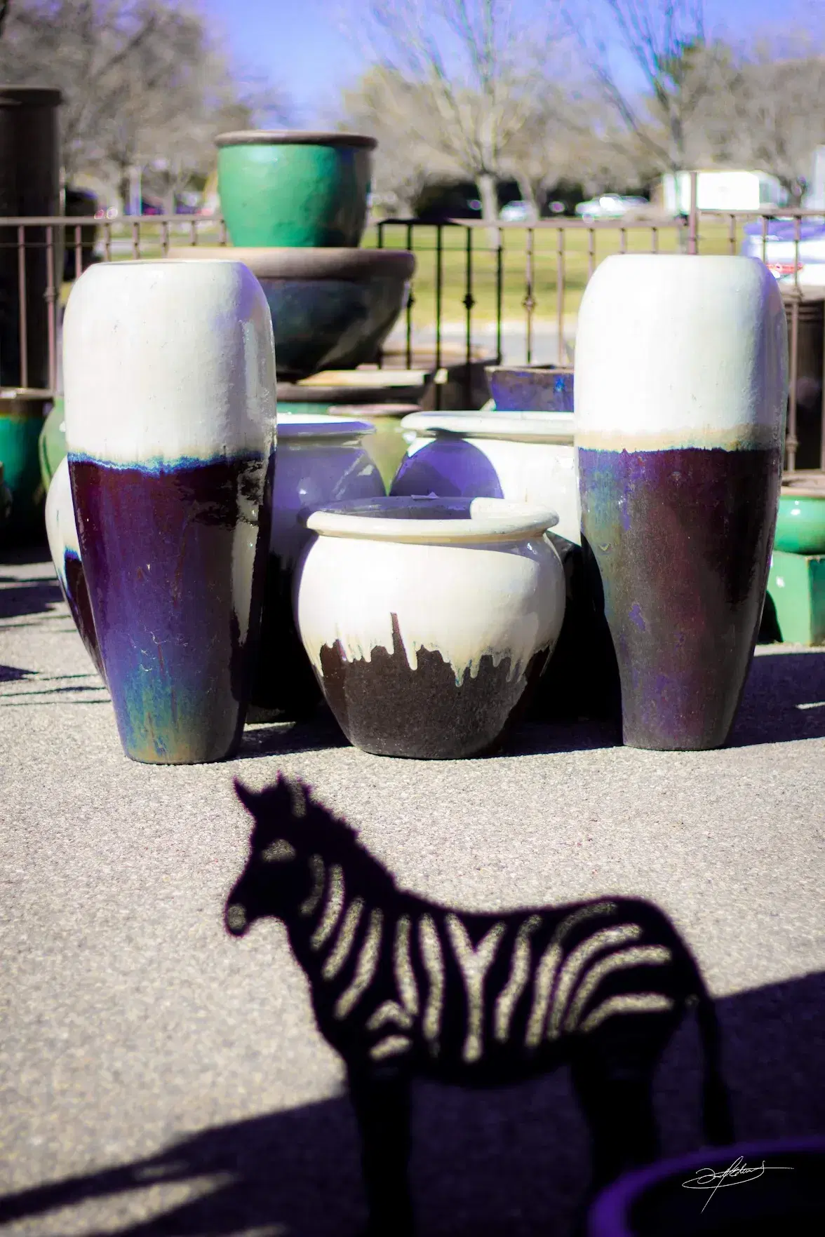 a collection of black and white pottery, with a metal zebra in front