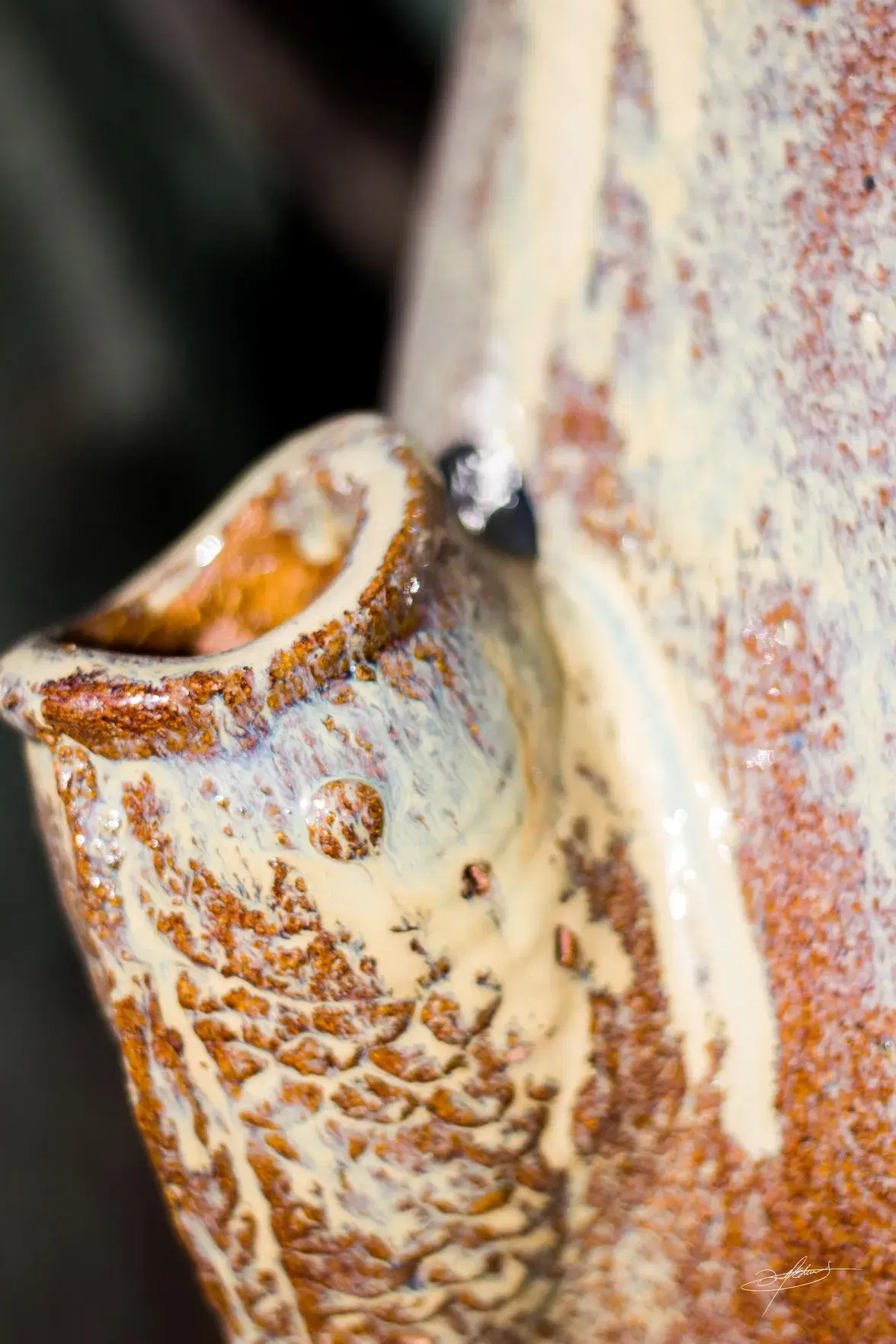 close up of a ceramic fish head spout from a fountain