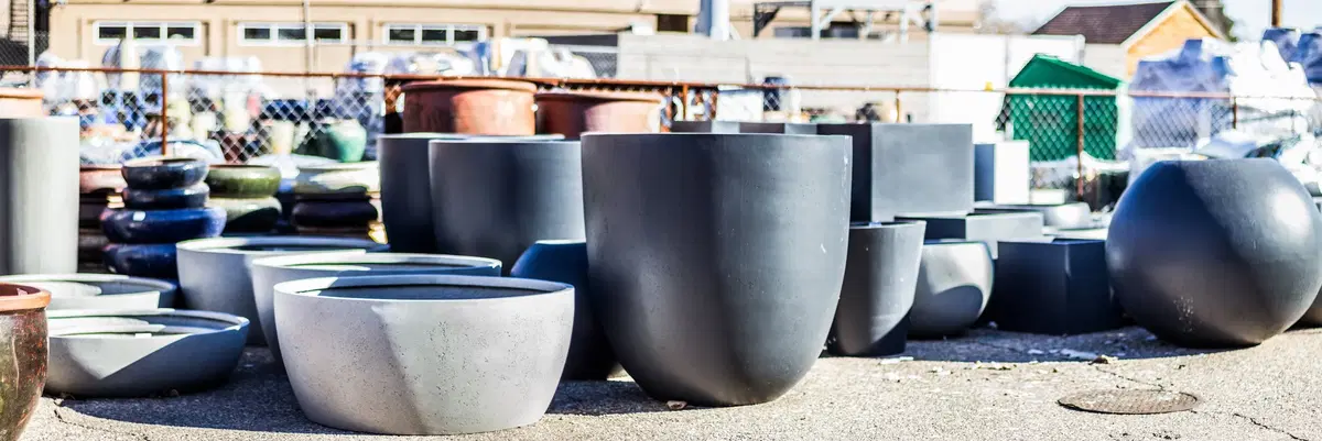 botanicals exclusive pottery lined up for sale